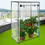 tomatenbeet1