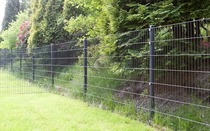 doppelstabmatte 8/6/8 | einzelprofil | stabmattenzaun 2,5m breite